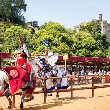 Wars Of The Roses Jousting