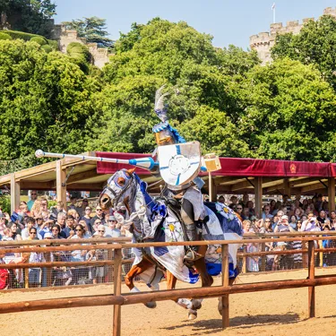 Wars Of The Roses Joust