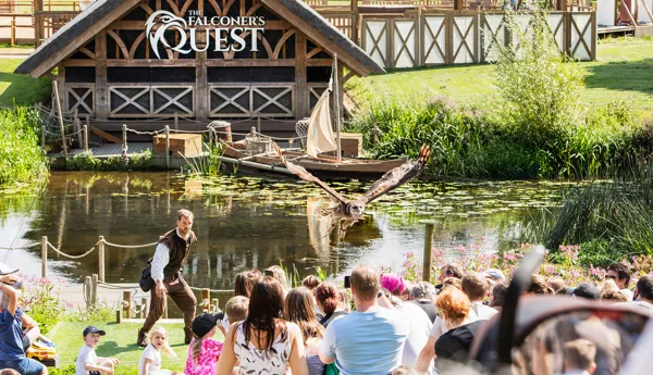 Falconer's Quest