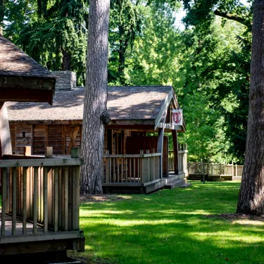 Lodges in the forest